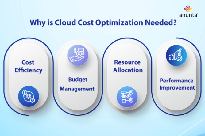 Why is Cloud Cost Optimization Needed