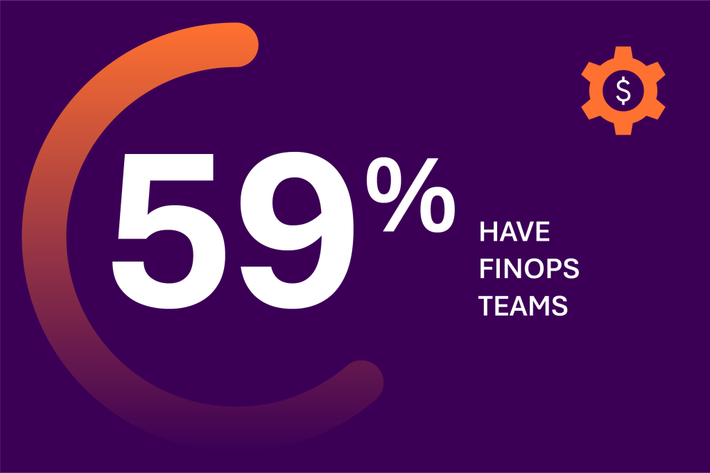 59% have-FinOps-team-scaled